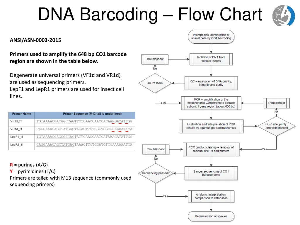 dna barcoding flow chart