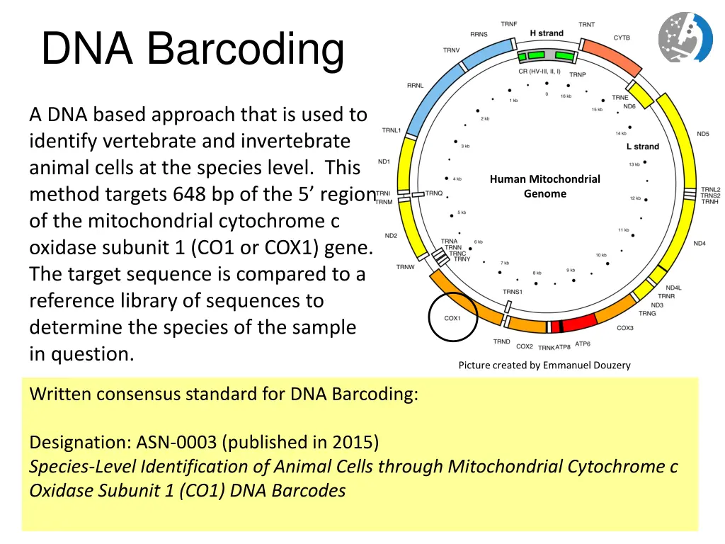 dna barcoding