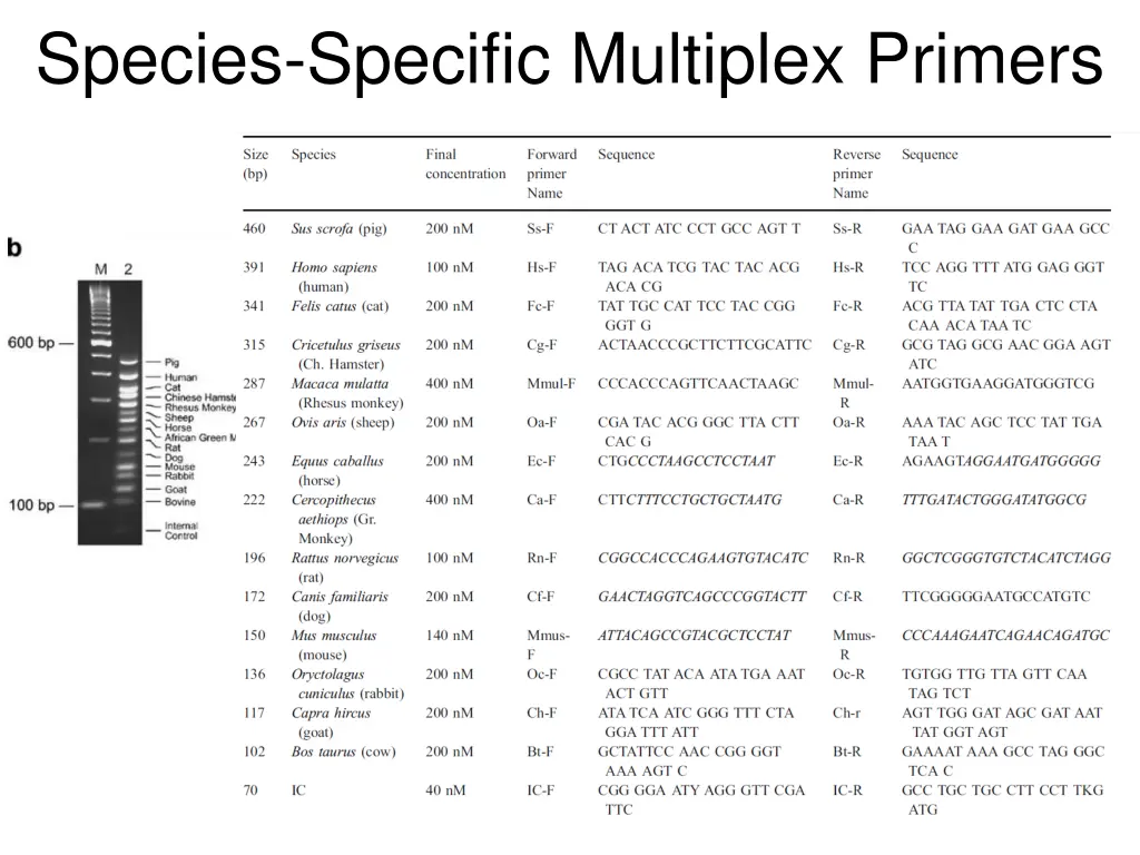 species specific multiplex primers