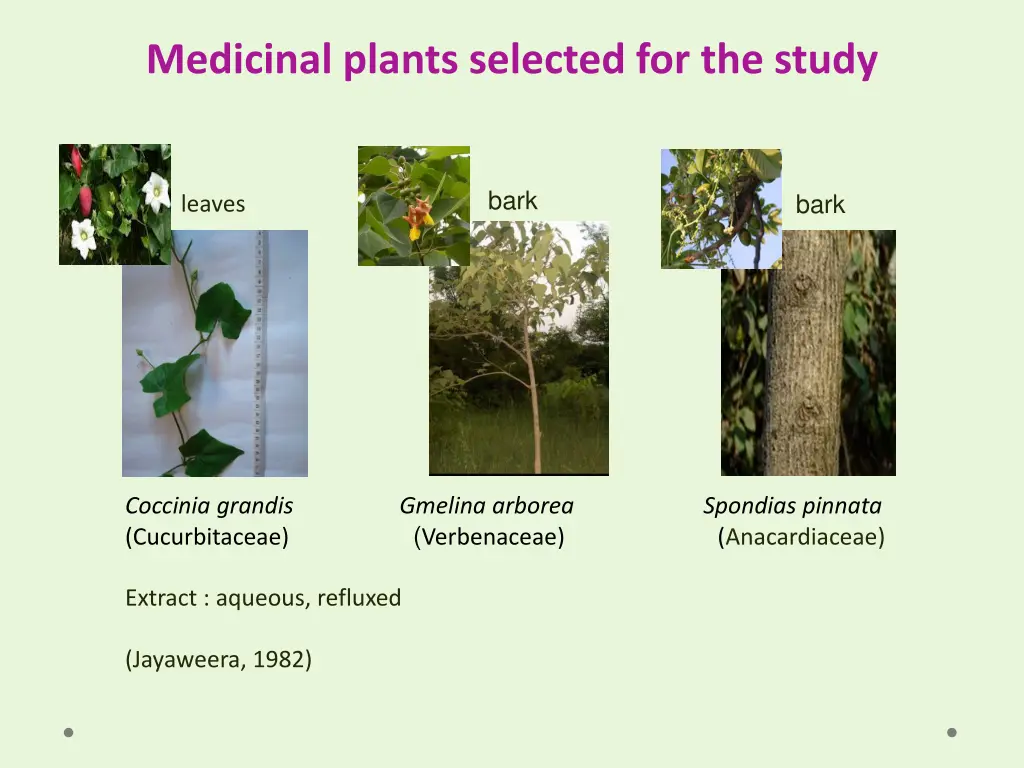 medicinal plants selected for the study