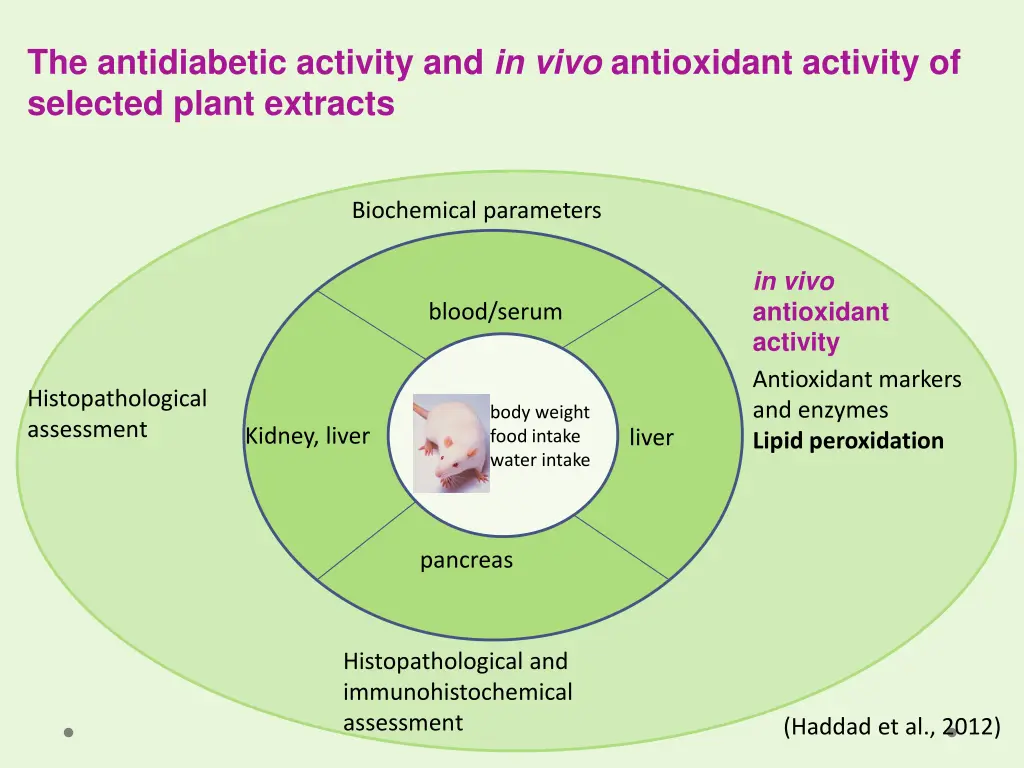 the antidiabetic activity and in vivo antioxidant