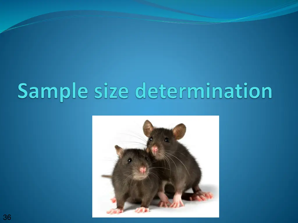 slide36