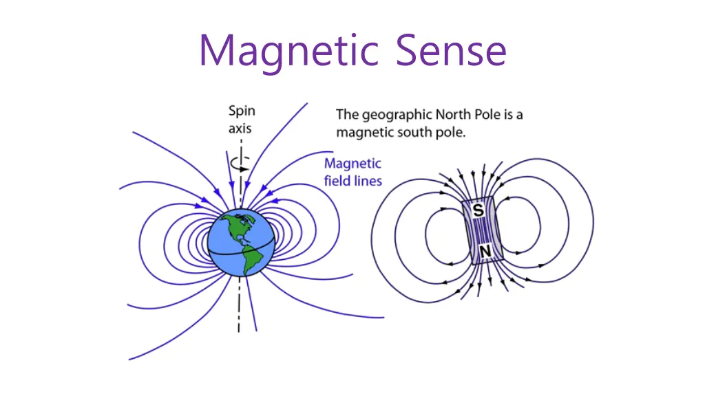 magnetic sense