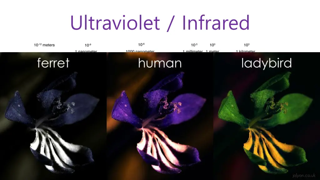 ultraviolet infrared