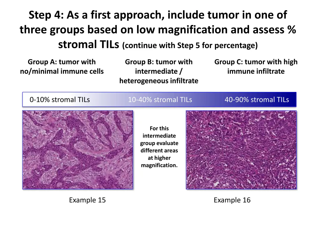 step 4 as a first approach include tumor