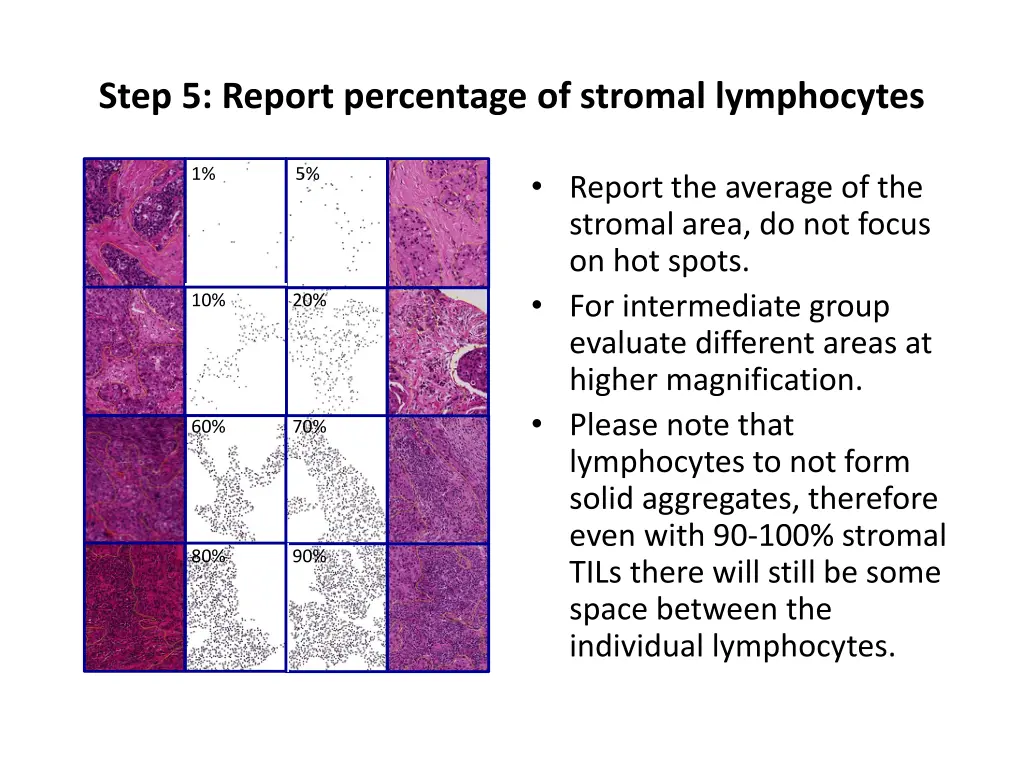 step 5 report percentage of stromal lymphocytes