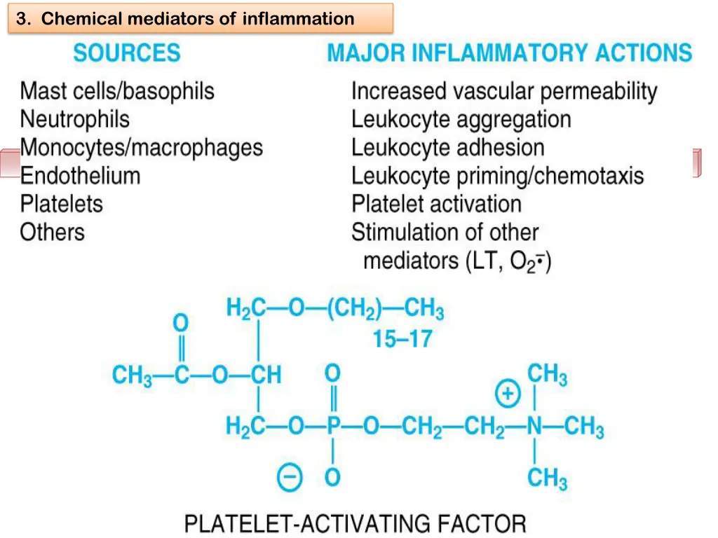 3 chemical mediators of inflammation 11