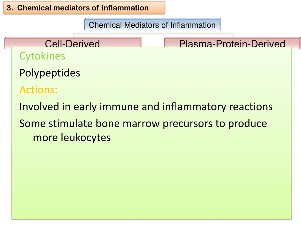 3 chemical mediators of inflammation 12