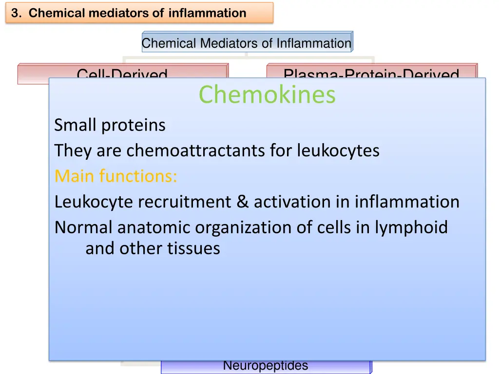 3 chemical mediators of inflammation 16