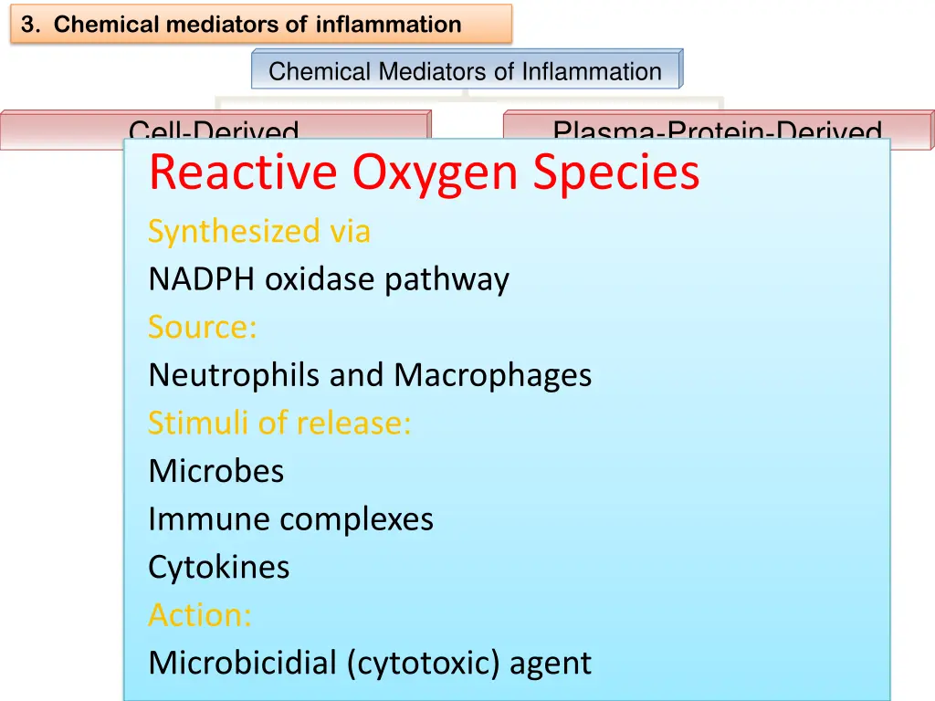 3 chemical mediators of inflammation 17