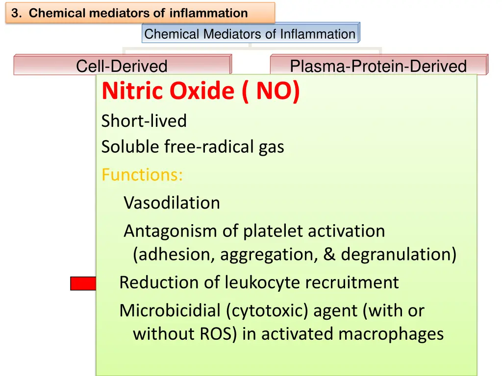 3 chemical mediators of inflammation 18