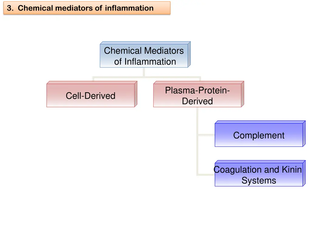 3 chemical mediators of inflammation 4