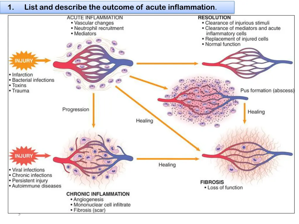 slide5