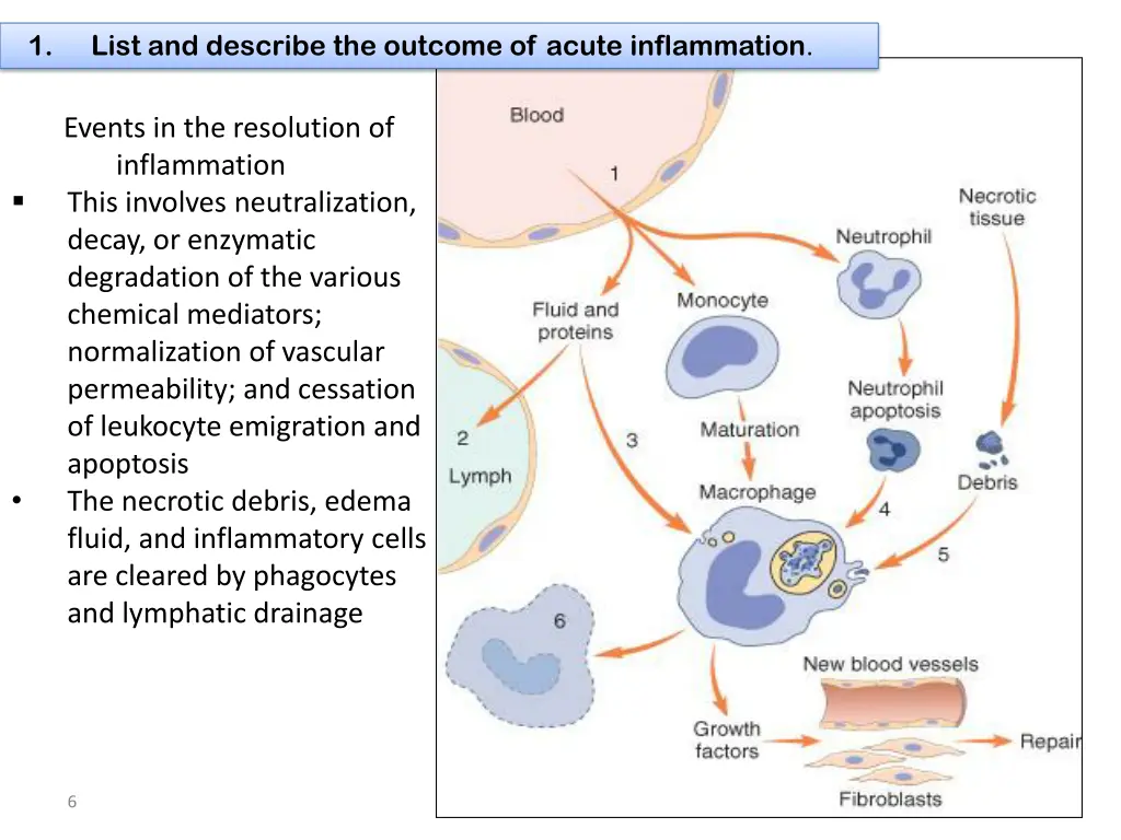 slide6