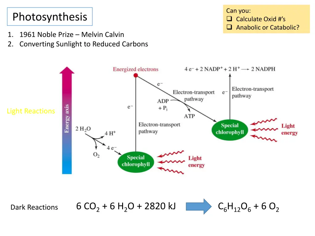 can you calculate oxid s anabolic or catabolic