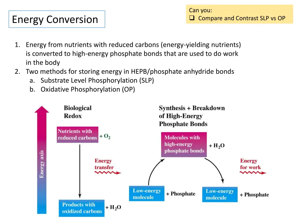 can you compare and contrast slp vs op