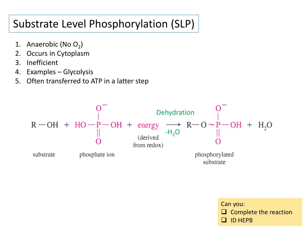 substrate level phosphorylation slp