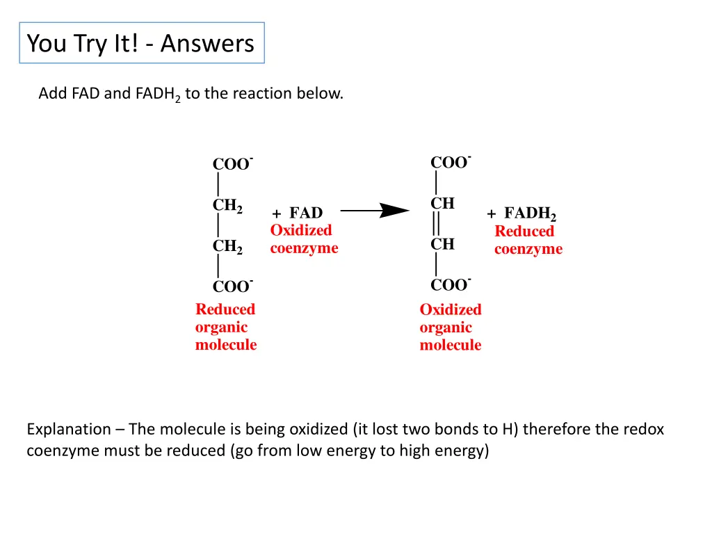 you try it answers