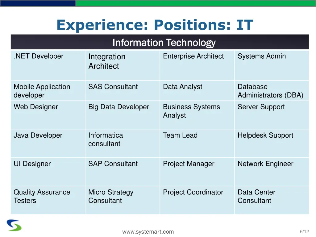 experience positions it information technology