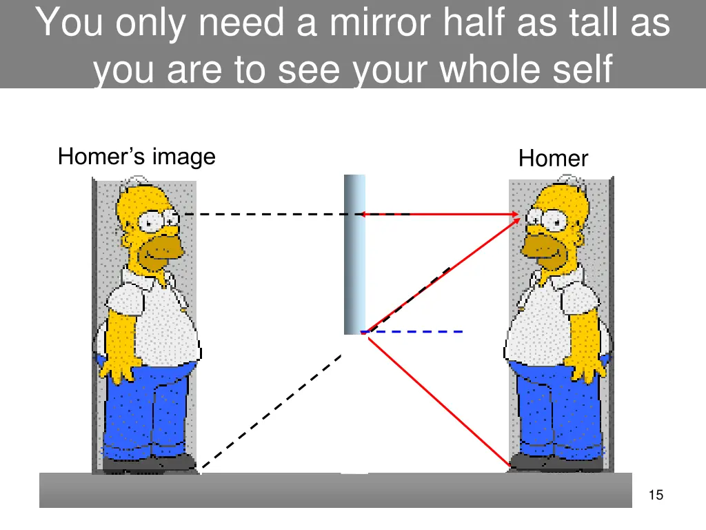 you only need a mirror half as tall