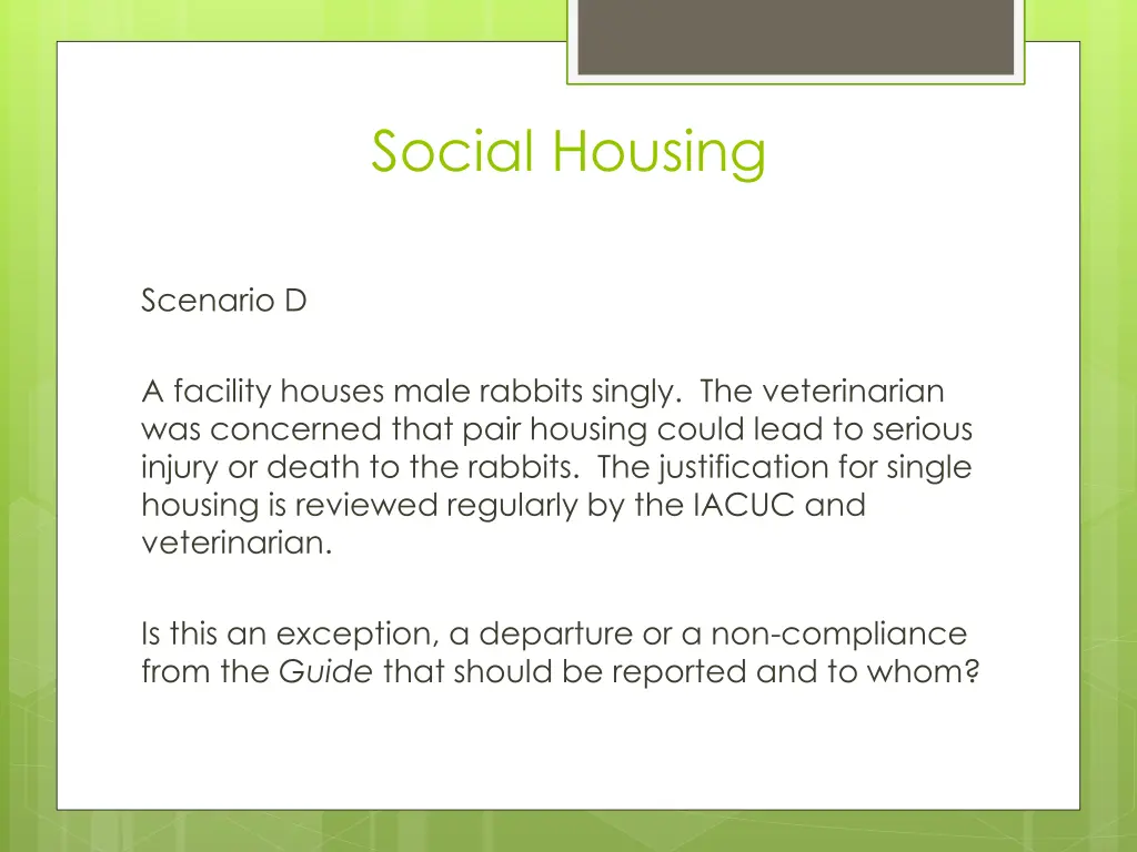 social housing