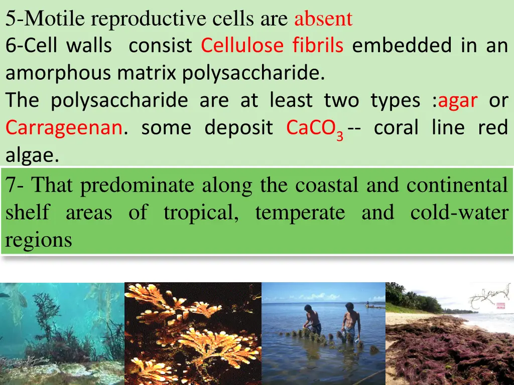 5 motile reproductive cells are absent 6 cell