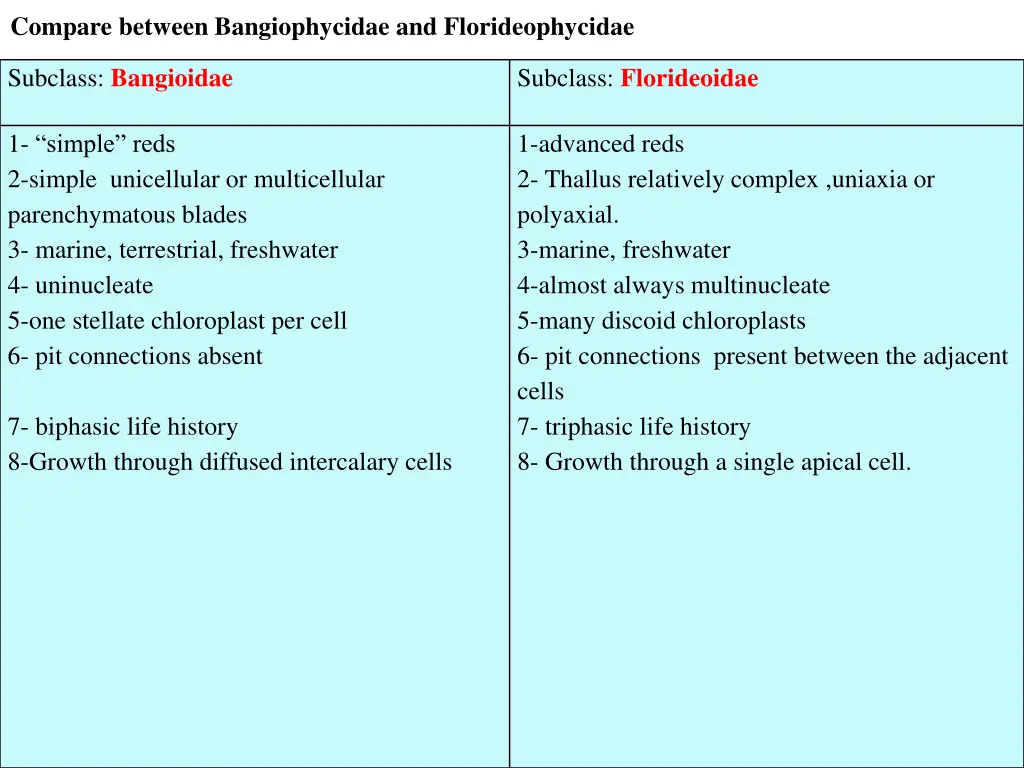 compare between bangiophycidae