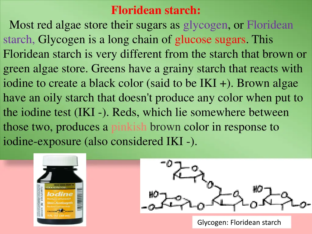 floridean starch