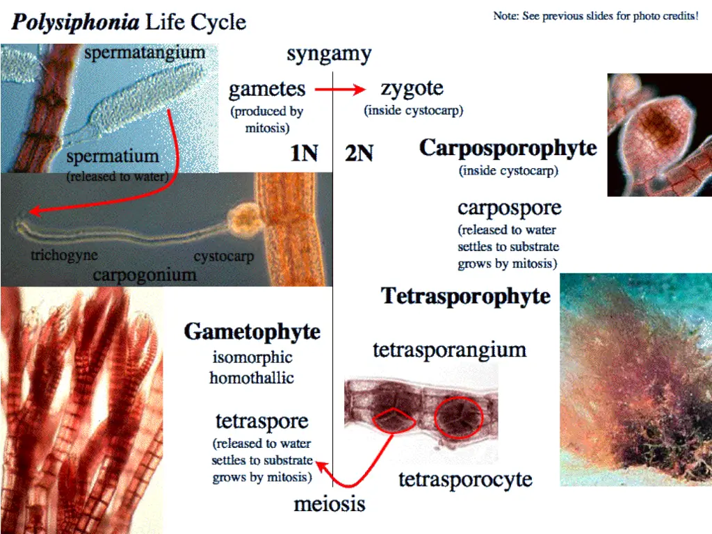 slide16