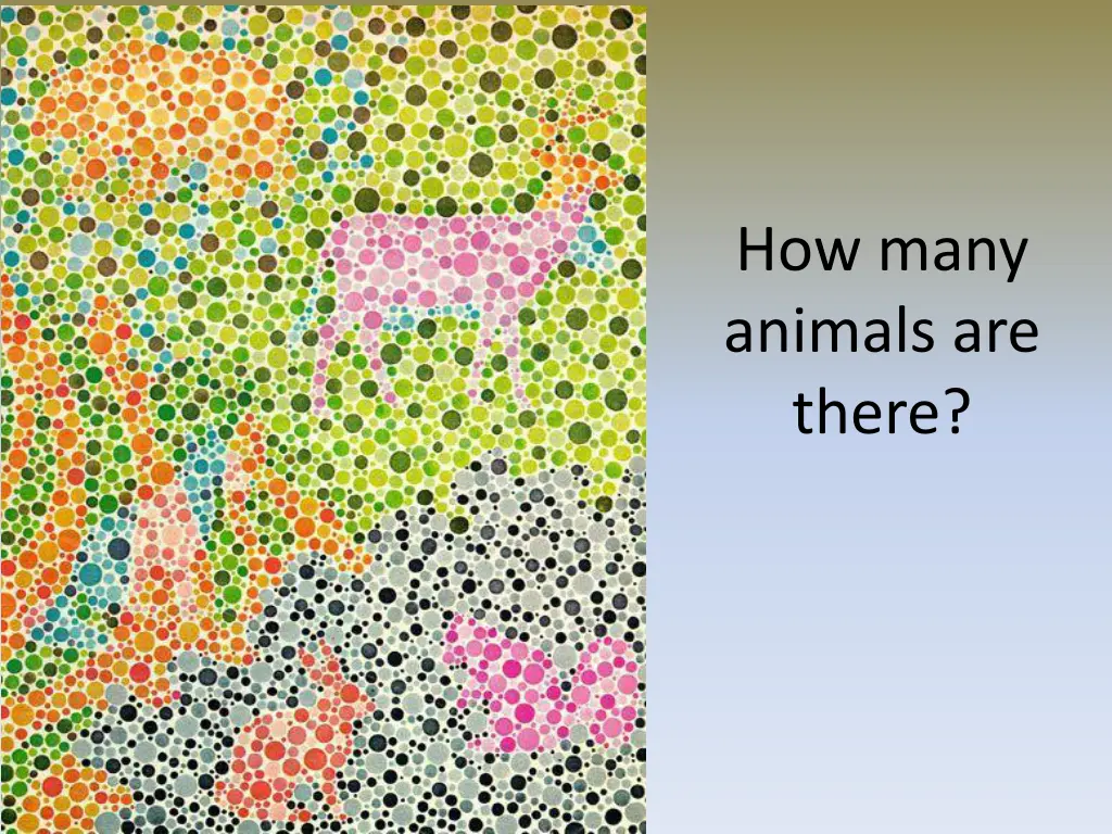 how many animals are there