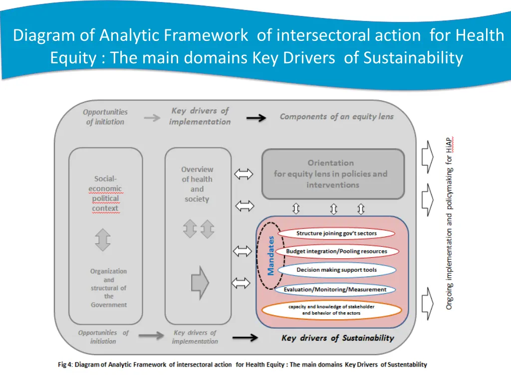 diagram of analytic framework of intersectoral