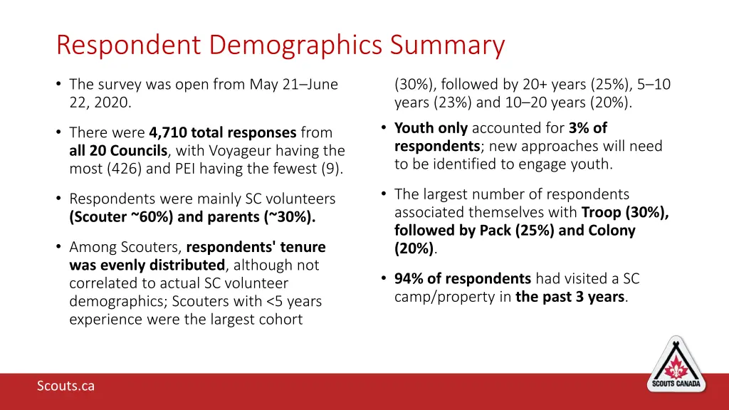 respondent demographics summary