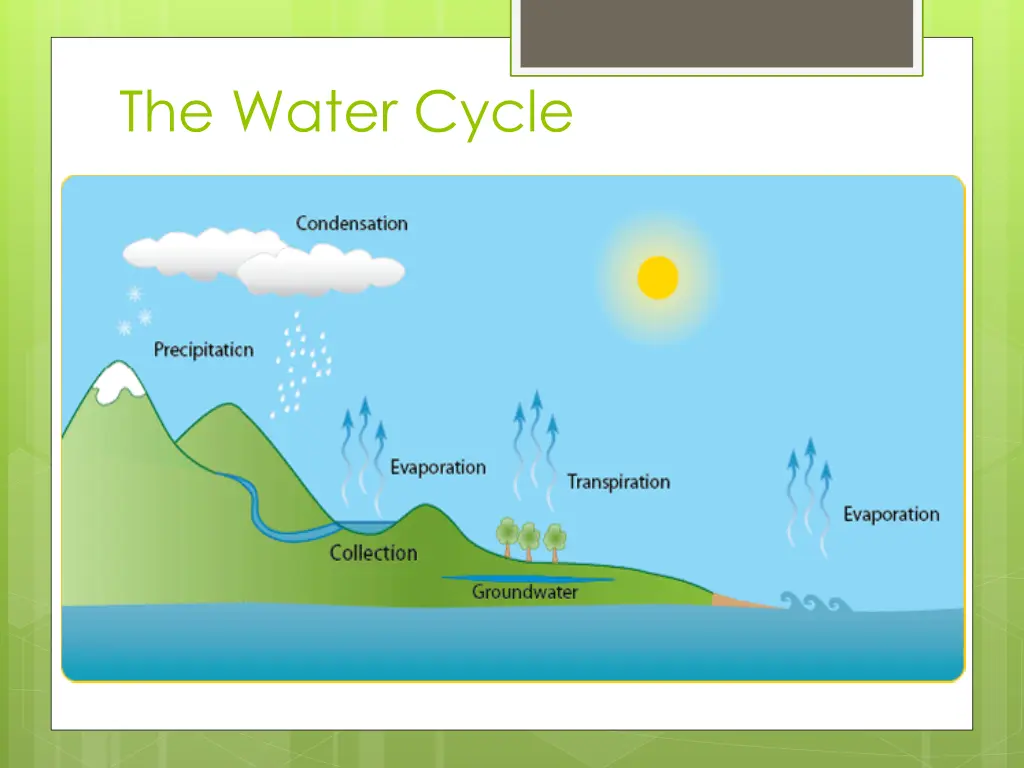 the water cycle