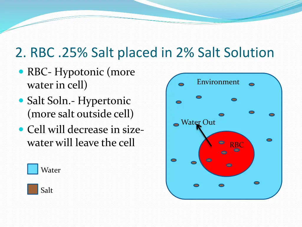 2 rbc 25 salt placed in 2 salt solution