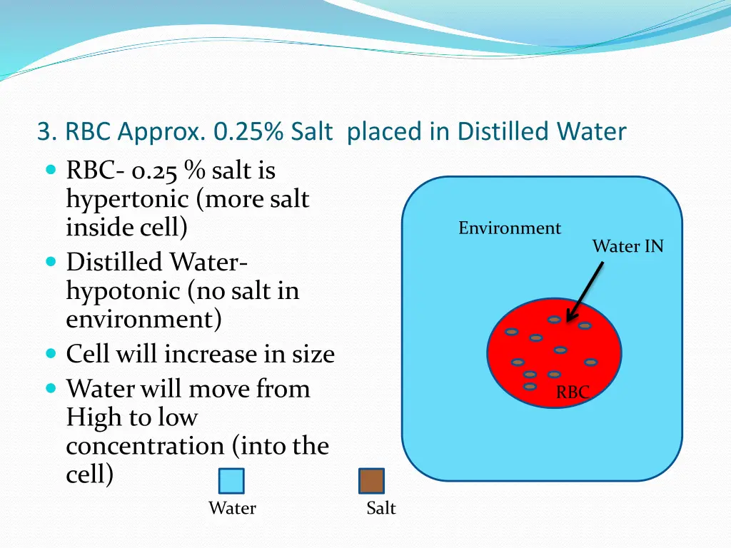 3 rbc approx 0 25 salt placed in distilled water