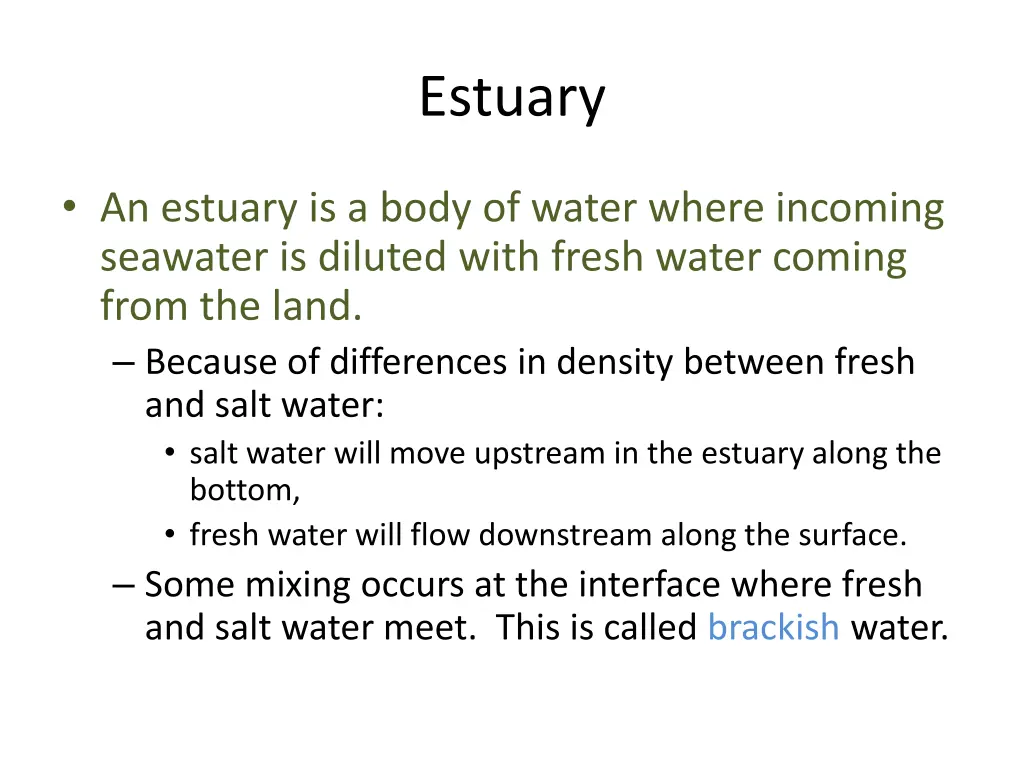 estuary