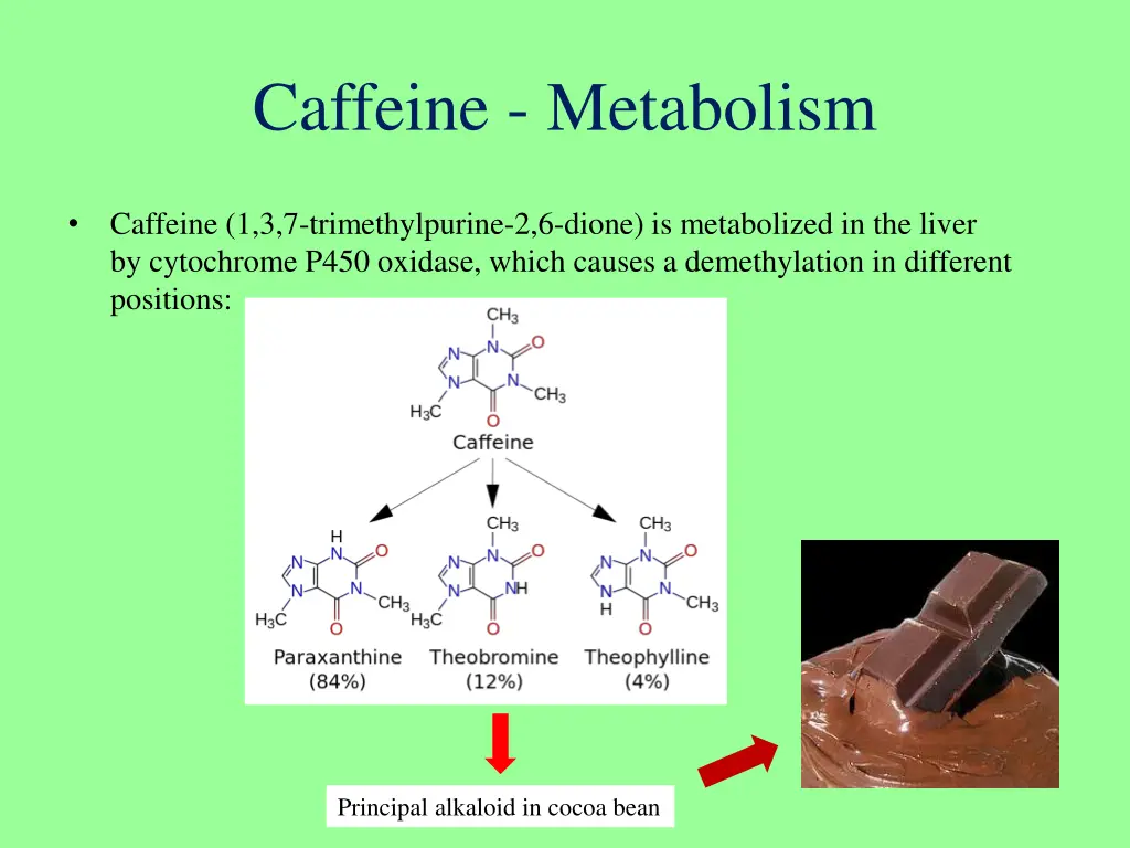 caffeine metabolism