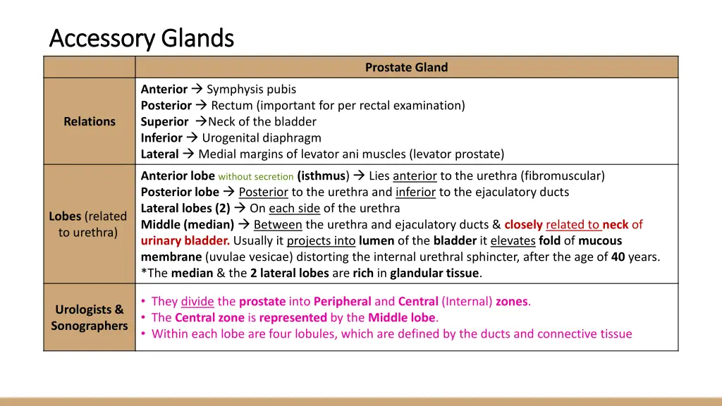 accessory glands accessory glands 1