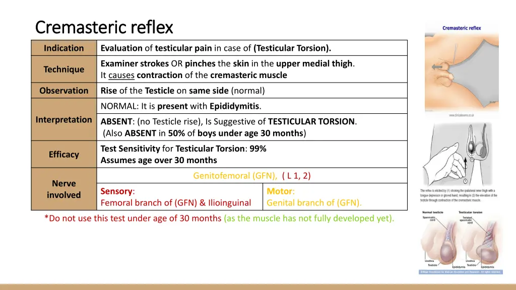 cremasteric reflex cremasteric reflex