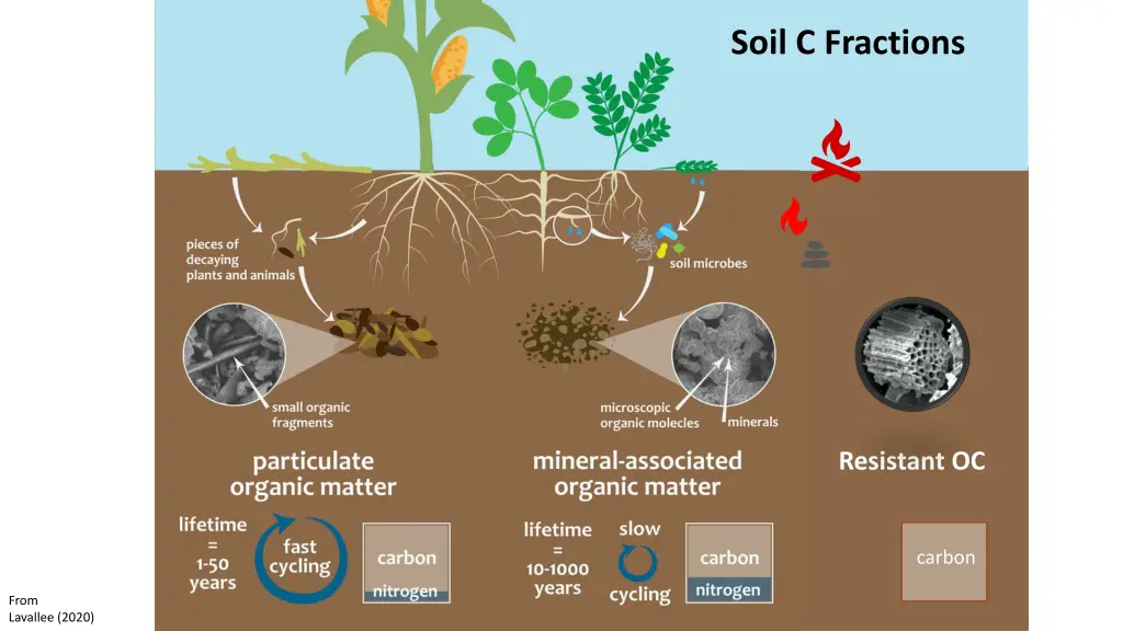 soil c fractions