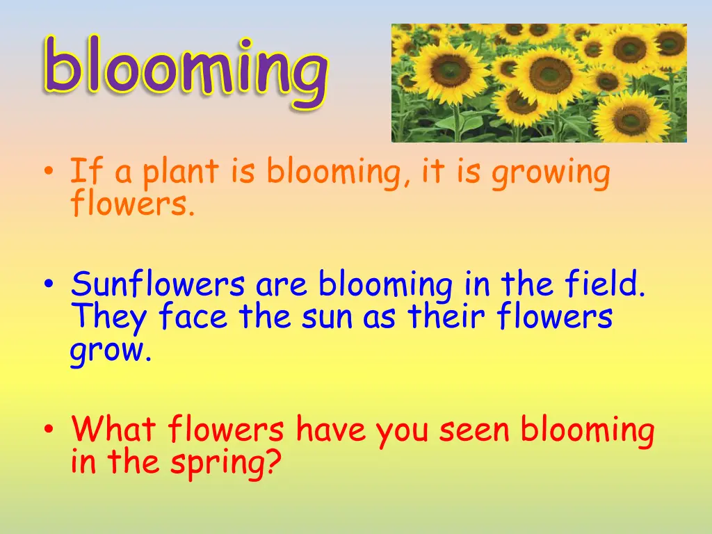 blooming