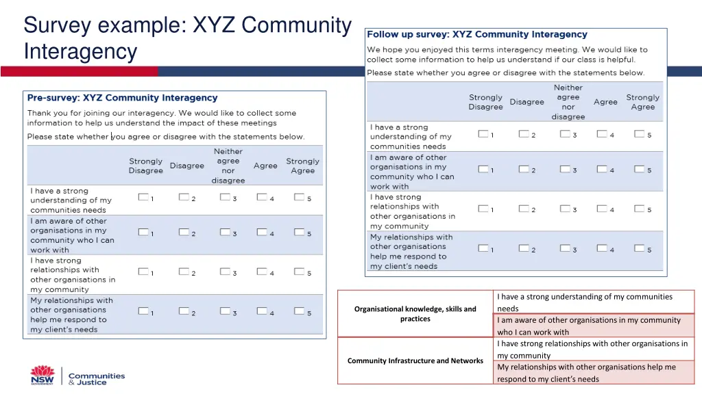 survey example xyz community interagency