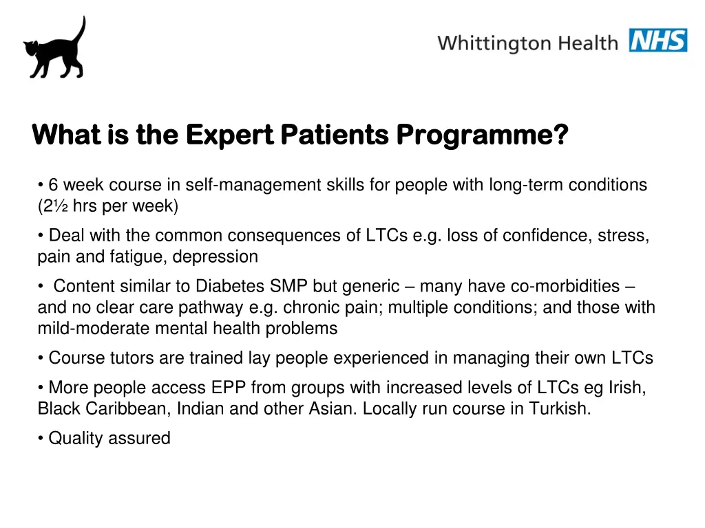 what is the expert patients programme what