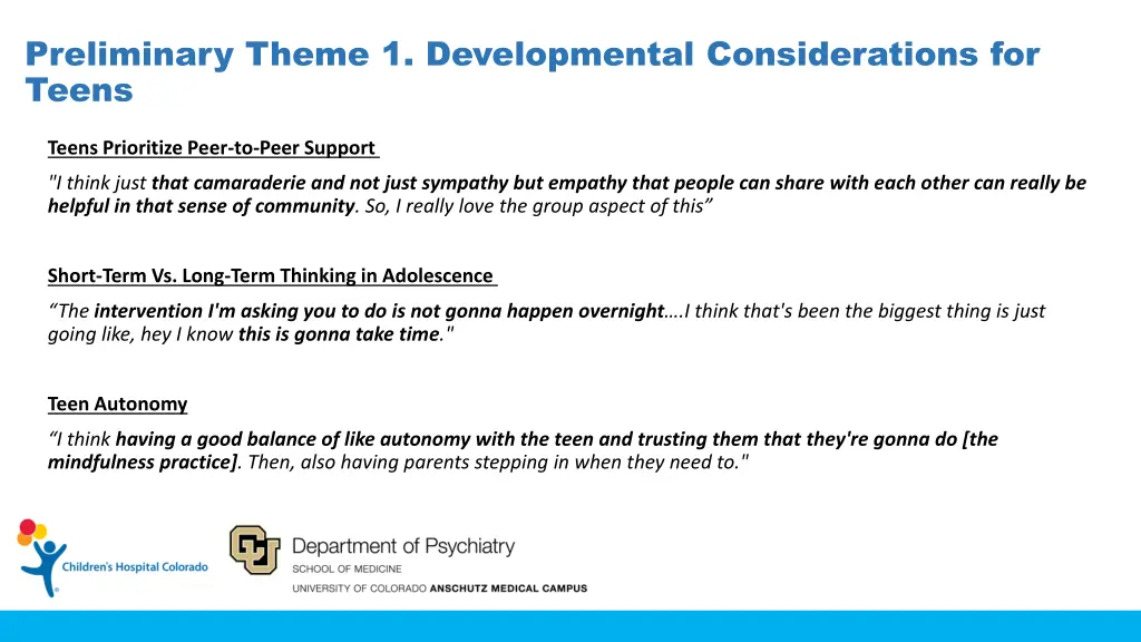 preliminary theme 1 developmental considerations