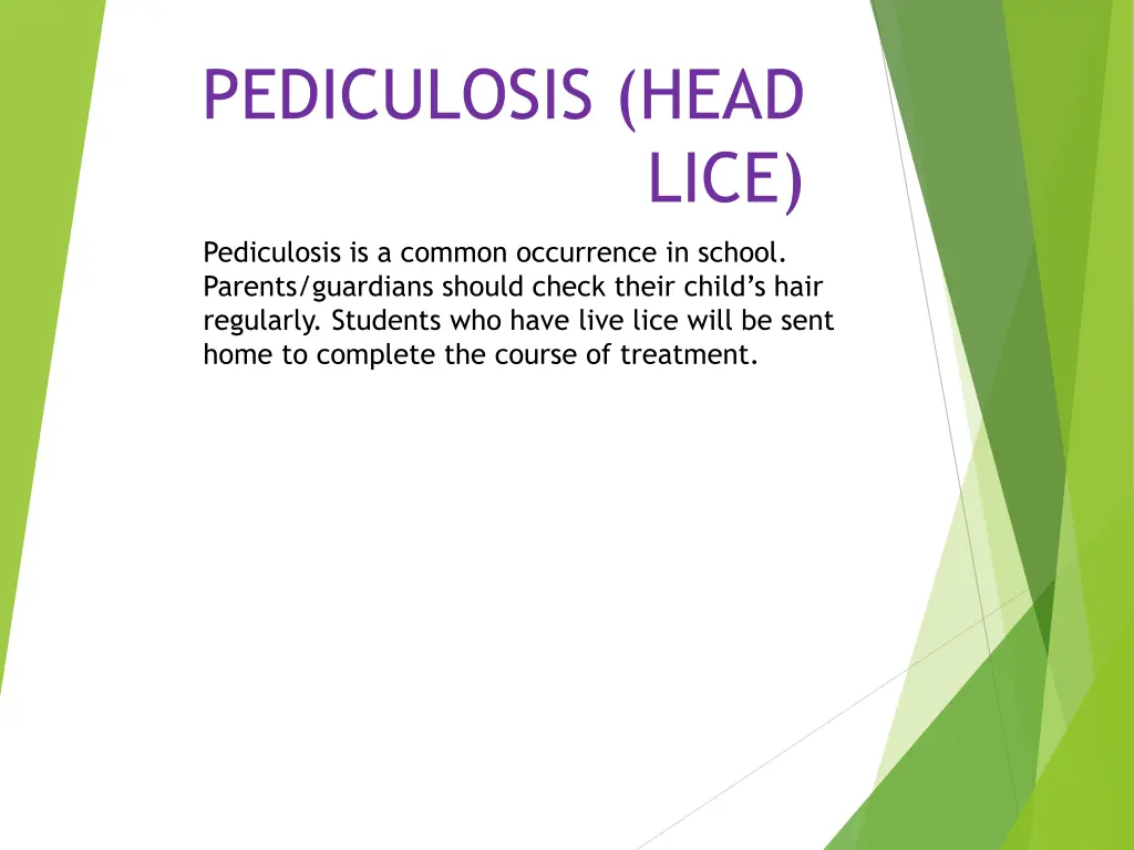 pediculosis head