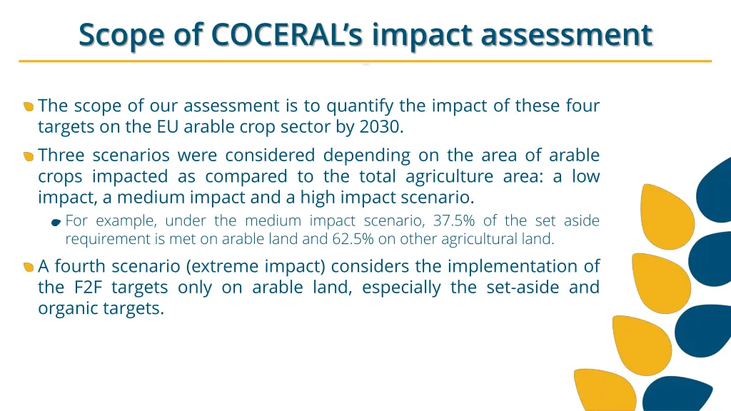 scope of coceral s impact assessment