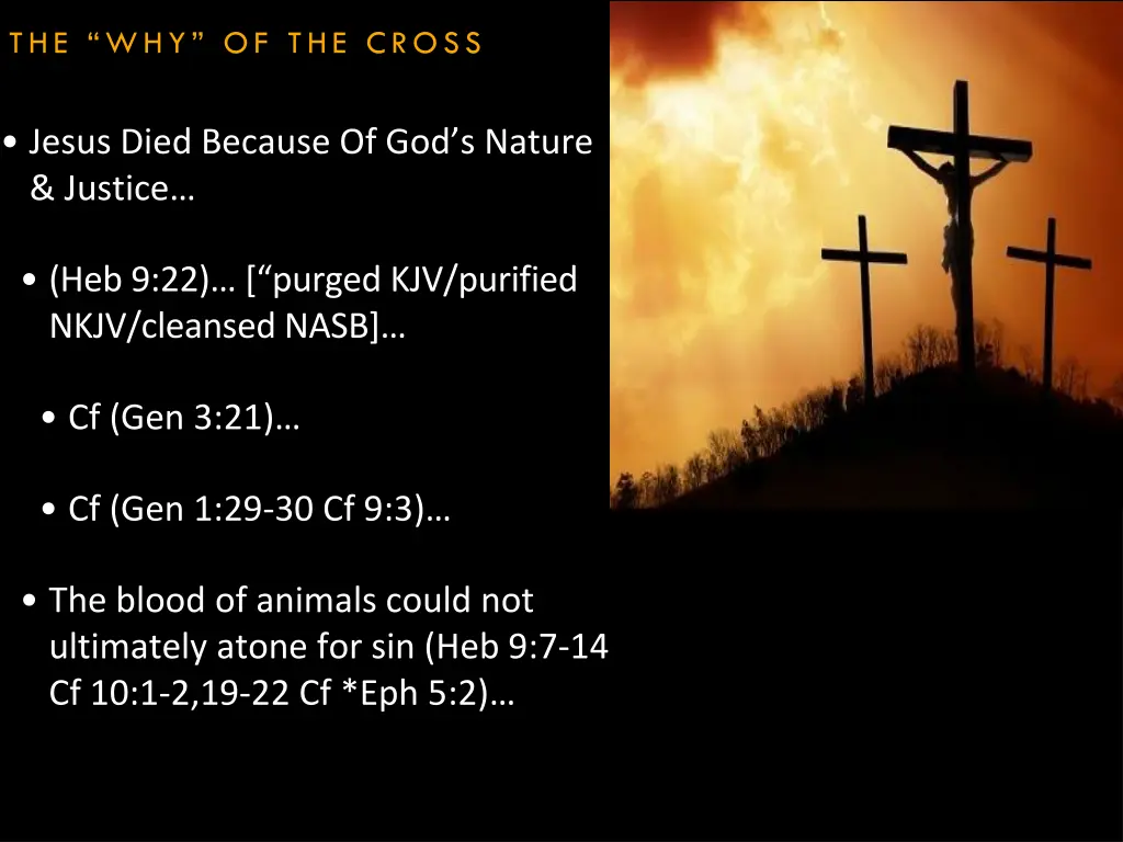 the why of the cross 5