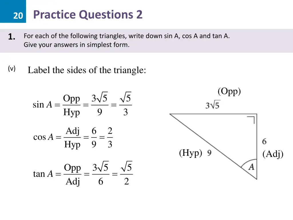 20 practice questions 2 4