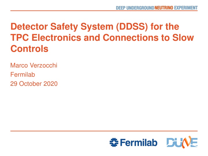 detector safety system ddss