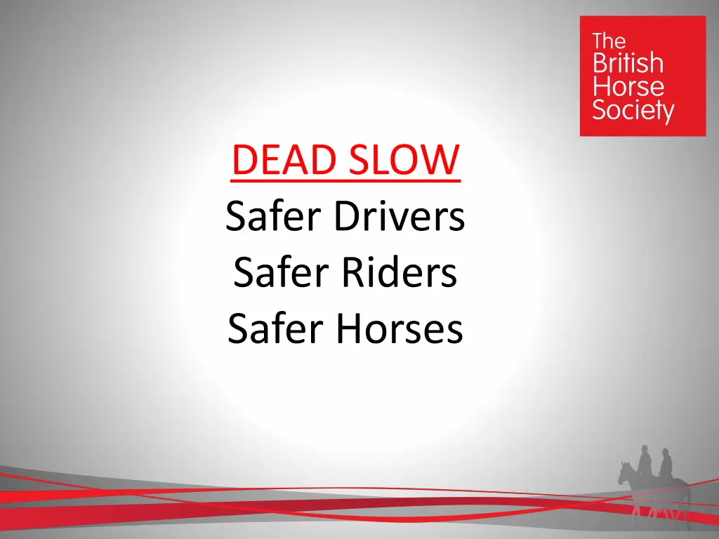 dead slow safer drivers safer riders safer horses